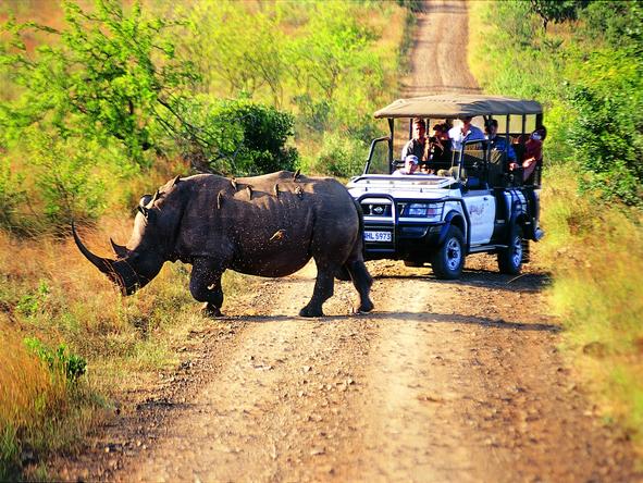 Hluhluwe Lodge - Game Drive 